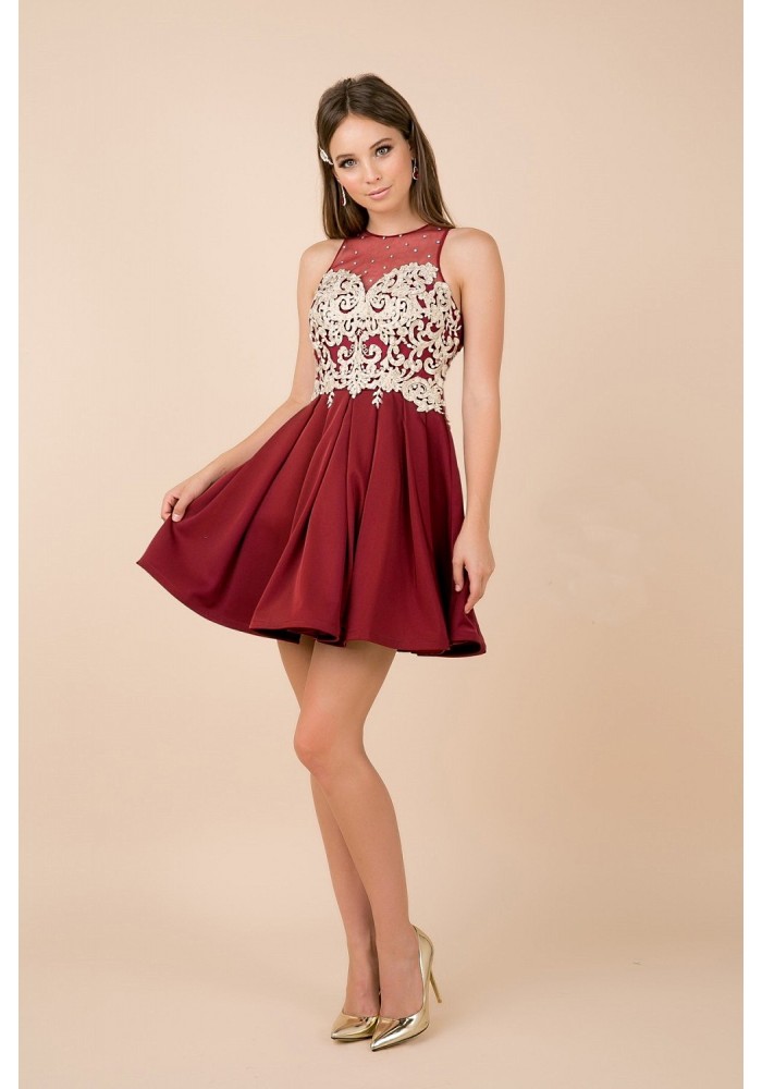 Short Party Dress - Jewel Illusion Neckline With Lace Embroidered - CH-NA6338