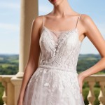 Wedding Dress - Spaghetti Straps Floral Lace Appliques Tulle Fitted and Flare with Tulle Overskirt -BLM-F2010OS